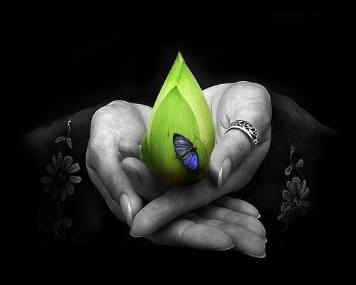 示意圖。（圖片來源：互聯網）