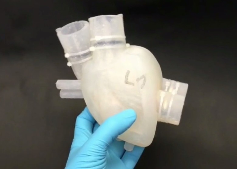 （資料圖源：互聯網）