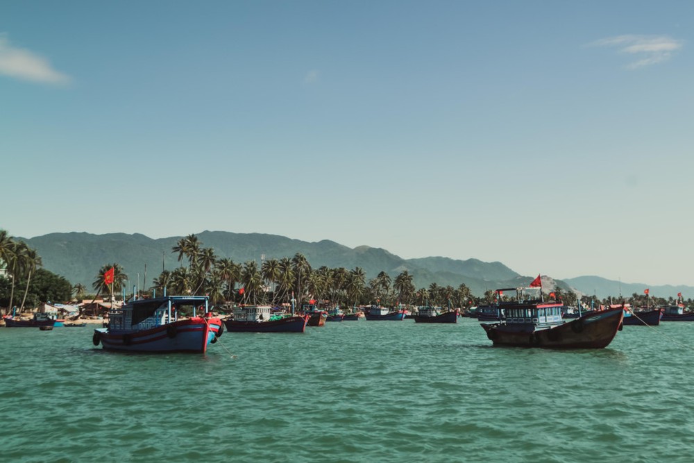 越南唯一的海洋沙道 ── 疊山島 ảnh 3