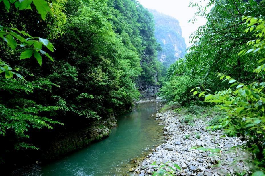 地球上的自然資源。（圖源：互聯網）