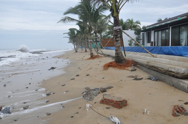 至 2030 年減少 8% 溫室氣體排放量 ảnh 1