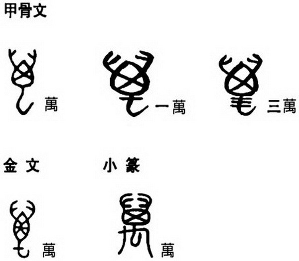 說文解字： 『萬』其實是一隻大蝎子 ảnh 1