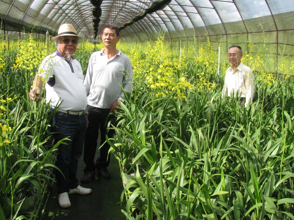 魏東山副總經理（中）帶領參觀文心蘭園區。