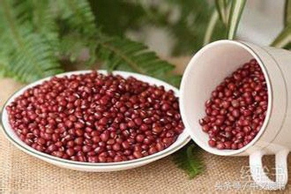 減肥的８種雜糧 ảnh 1