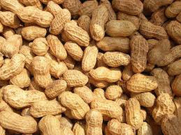 減肥的８種雜糧 ảnh 5