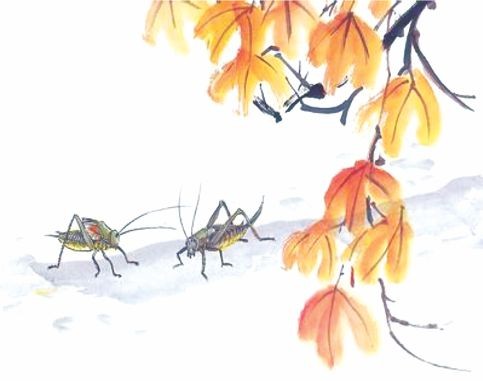 說文解字『秋』 ảnh 1