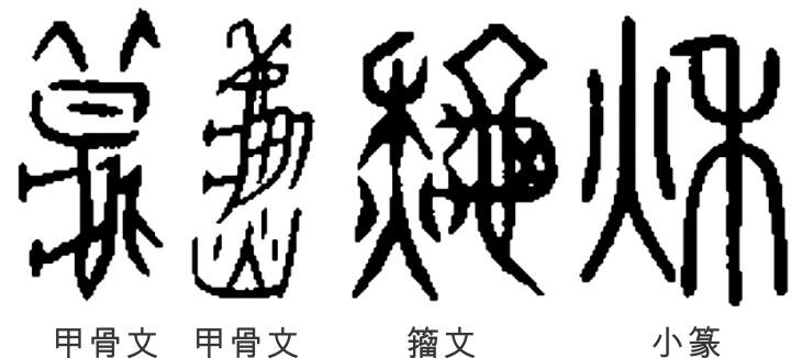 字形演變。（圖源：互聯網）