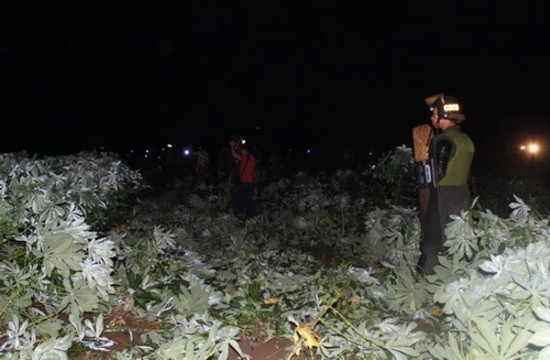 圖為木薯園裡的案發現場。（圖源：福俊）