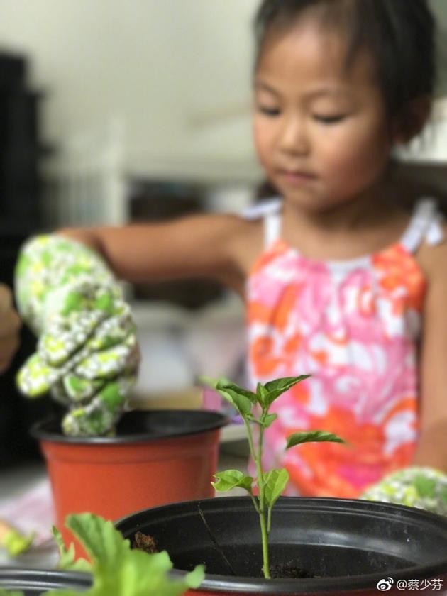 （資料圖源：互聯網）