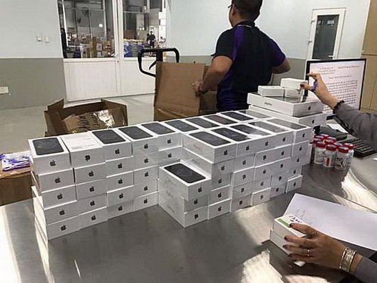 （資料圖源：海關網報）