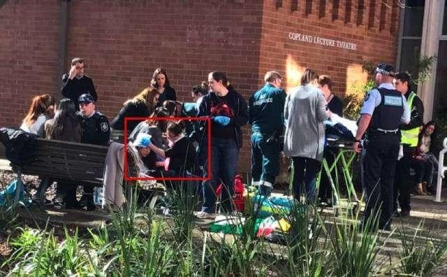 澳大利亞國立大學學生遭襲 肇事者已被警方拘留。（資料圖源：互聯網）