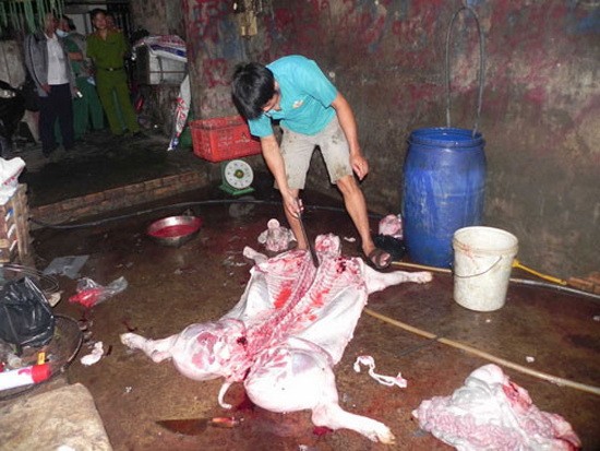自行屠豬出售是否違法？（示意圖源：互聯網）