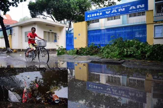 水坑、渠溝、廢棄物堆積處等有積水的地方容 易滋生孑孓,要經常清理。