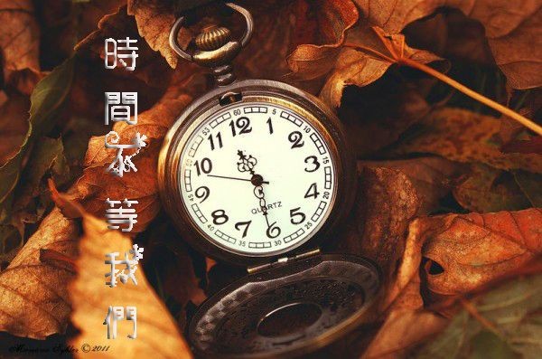 (示意圖源:互聯網)
