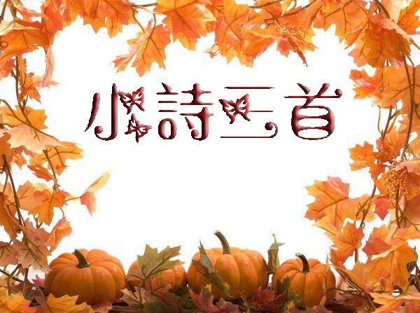 (示意圖源:互聯網)
