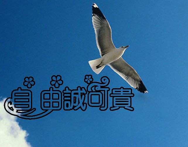 (示意圖源:互聯網)