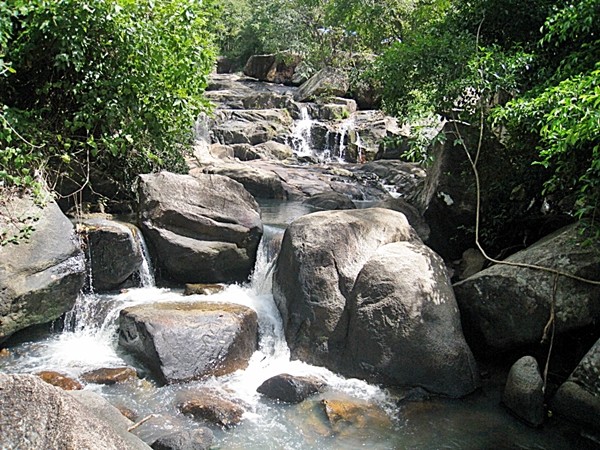 母山雲霧飄渺宛如仙境 ảnh 2