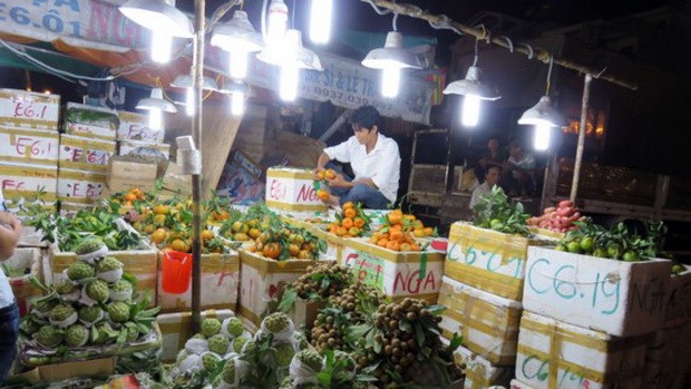 年底數月貨源穩定 ảnh 1