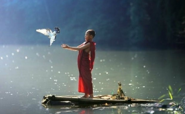 中醫養生在於： 順、靜、修、調、補、固 ảnh 2