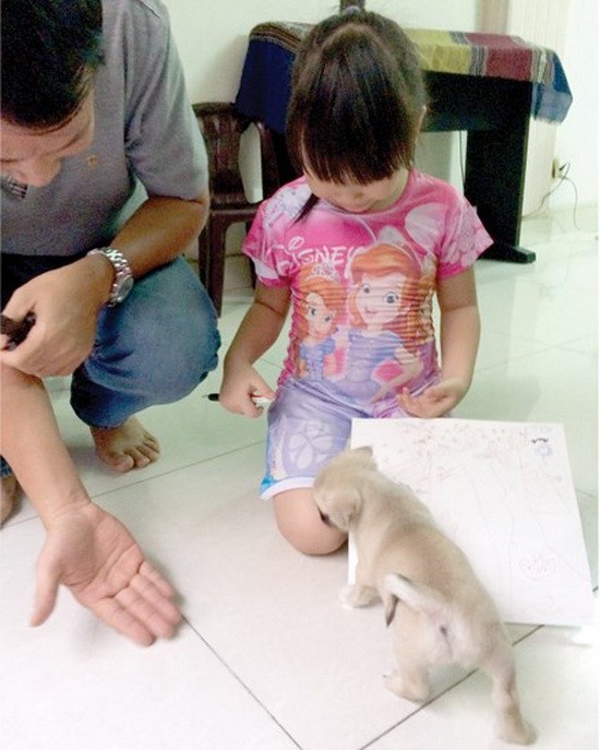 淺談家庭文化與性別平等。（示意圖源：互聯網）