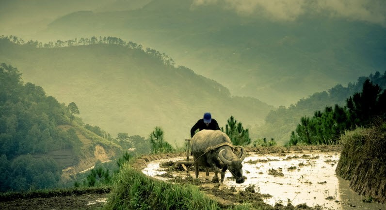 （示意圖源：互聯網）