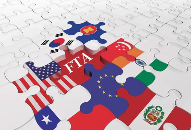 政府總理阮春福最近就加強實施和有效地開展已生效的《自由貿易協定》(FTA) 簽署了第38號《指示》。（示意圖源：24H法律咨詢網）