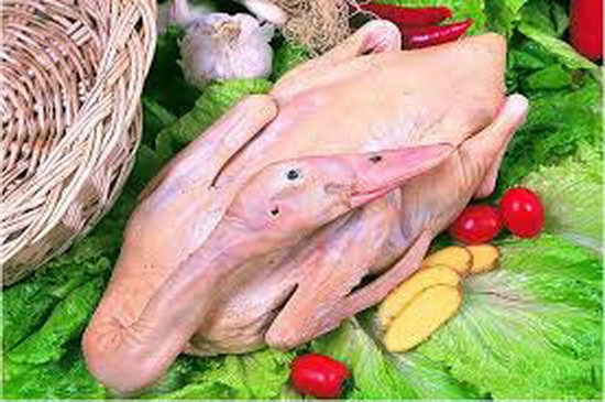 秋高食鴨正佳時。（示意圖源：互聯網）