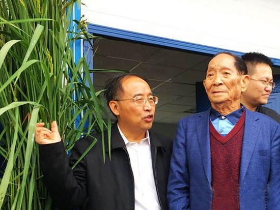 “雜交水稻之父”袁隆平(右)。(圖源:互聯網)