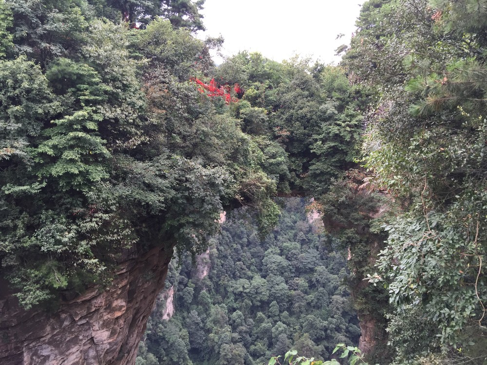 張家界——山的海洋 ảnh 1 張家界——山的海洋 ảnh 1