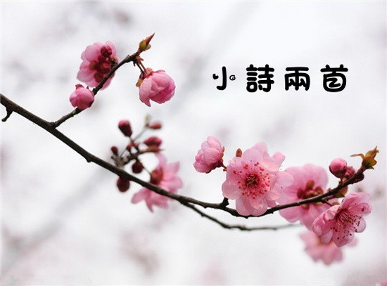 （示意圖源：互聯網）