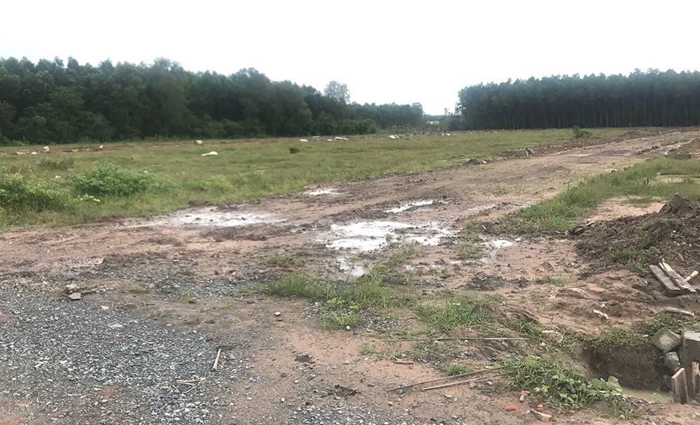 阿里巴巴房地產股份公司推介位於隆城縣的項目其實只是一片荒地。