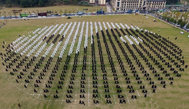 中國全國各地太極拳大師、傳人、太極拳機構代表在內的近3000人共享太極文化盛宴。(圖源:互聯網)