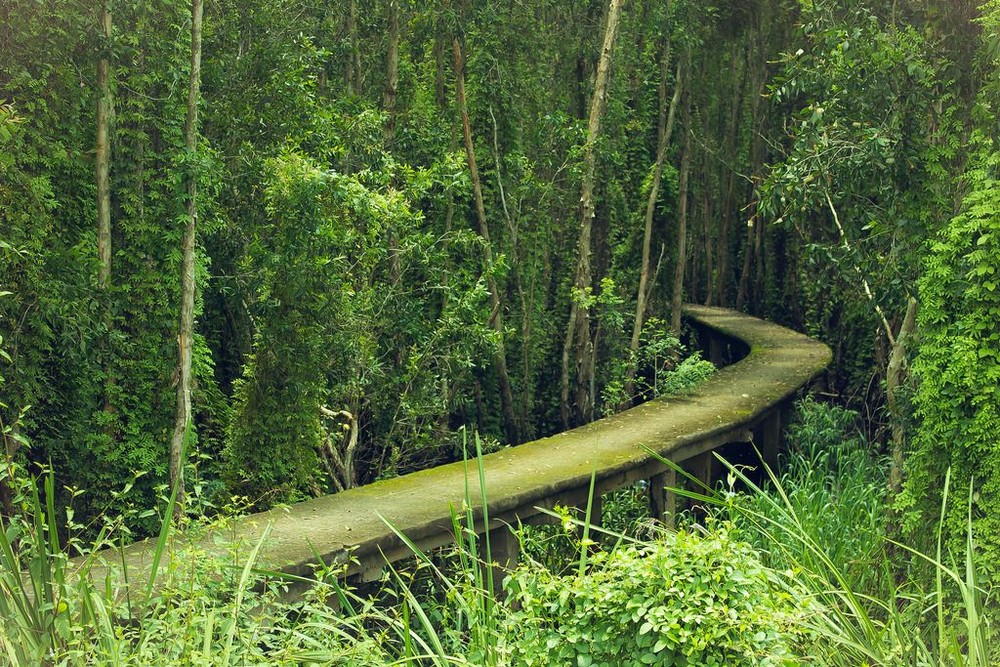 新立水上村 ảnh 1