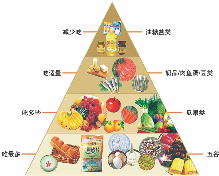 金字塔科學食譜。