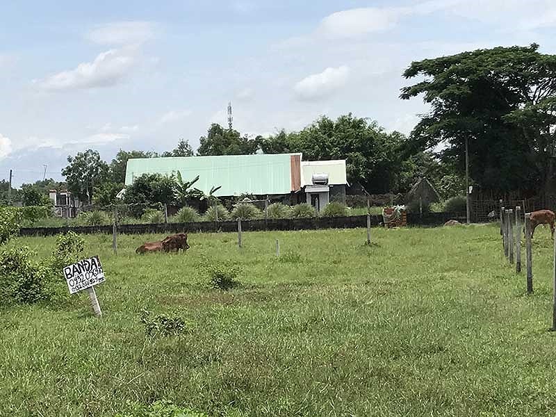 古芝、芽皮、芹耶與平政縣 （鎮除外）的土地最小面積為八十平方米將獲劃分。（示意圖源：互聯網）