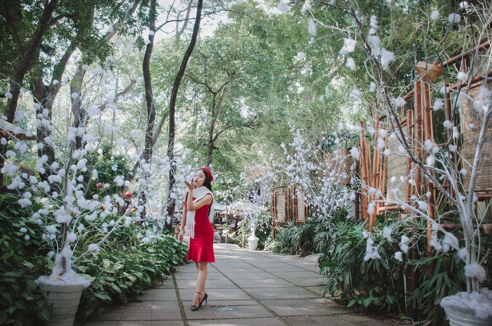 喜迎聖誕與元旦活動 ảnh 1