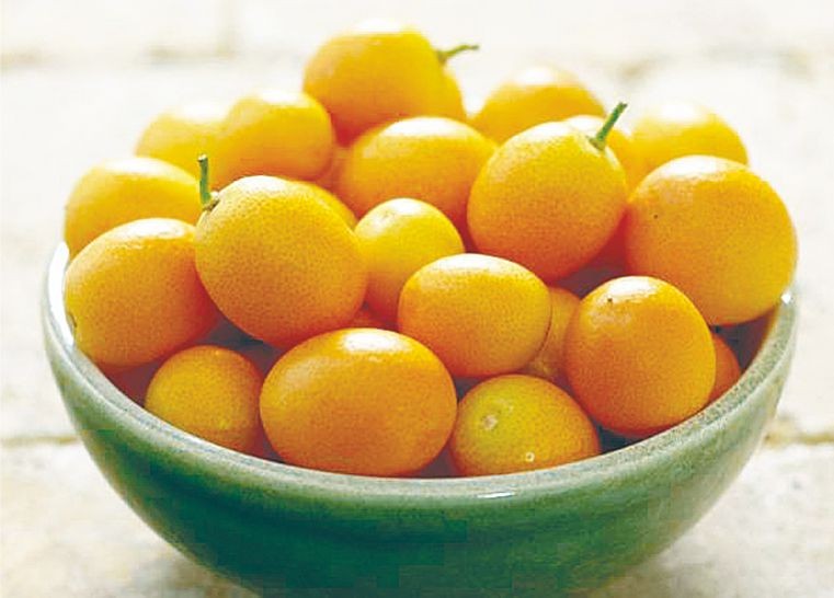 （示意圖源：互聯網）