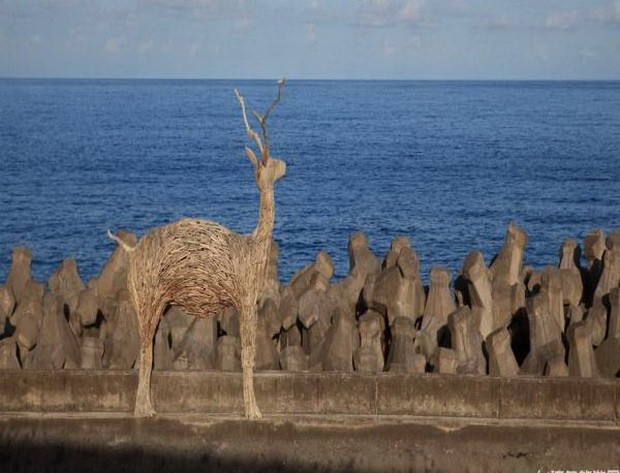 探索自然台東行（下） ảnh 1