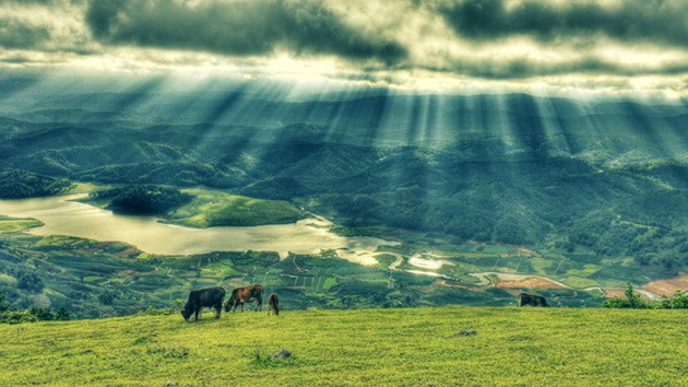 大勒山城的屋頂 —— 郎比安山 ảnh 1