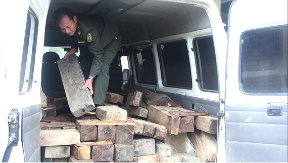 私運木材的16座客車被扣押。