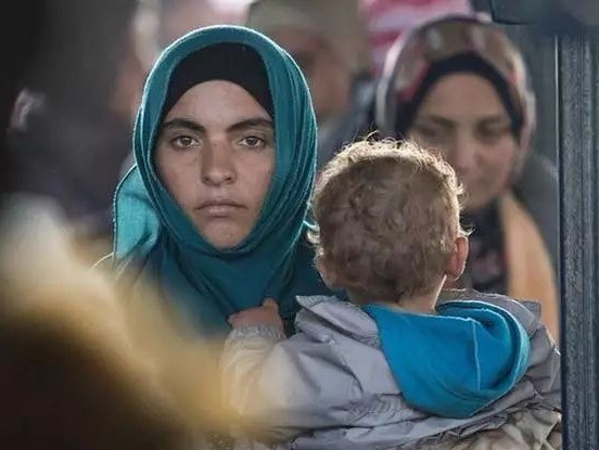 德國難民。（圖源：互聯網）