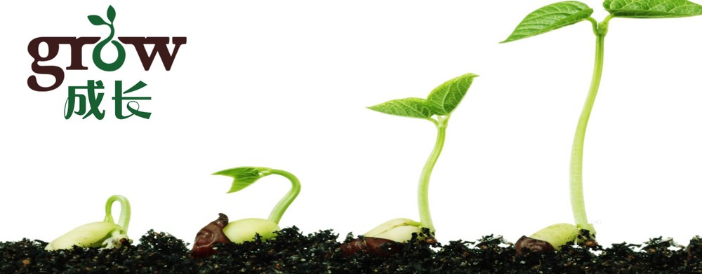 （示意圖源：互聯網）