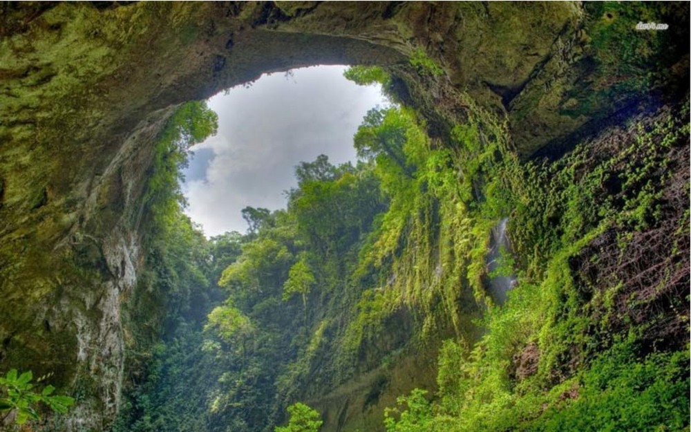 8 項關於山水洞的有趣事實 ảnh 4