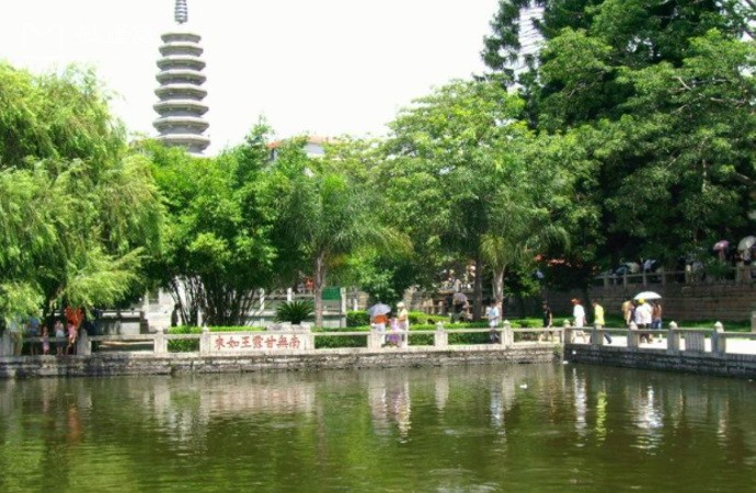 “城在海上，海在城中”話廈門（上） ảnh 2