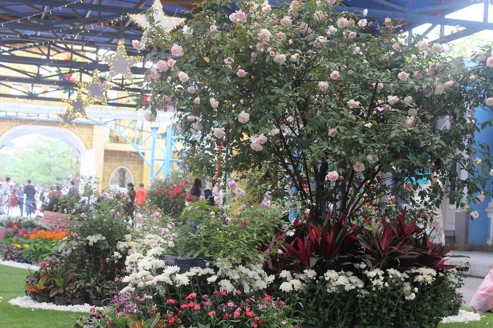 圖為第二次“保加利亞玫瑰與友人盛會”一隅。（圖為：碧河）