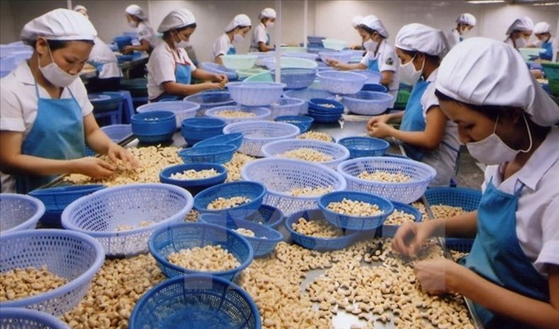 農產品是我國出口美國市場的支柱產品之一。