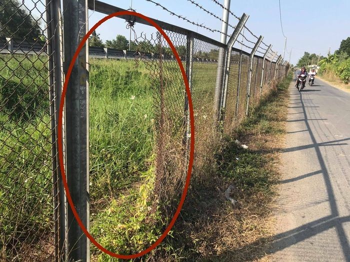 交通安全的本市-忠良高速公路安全護欄，最近有許多段遭嚴重破壞。（圖源：山林）