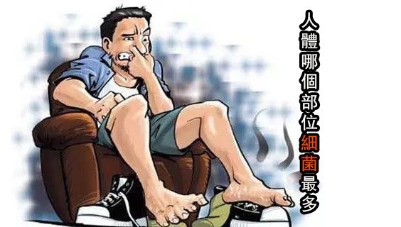 人體哪個部位細菌最多？（示意圖源：互聯網）