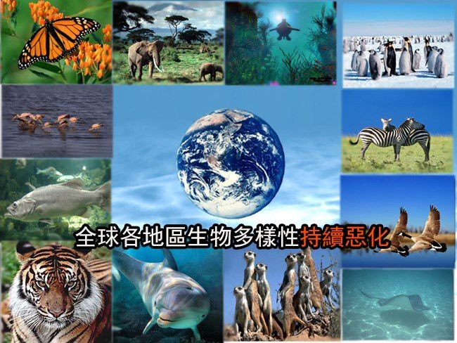 全球各地區生物多樣性持續惡化。（示意圖源：互聯網）