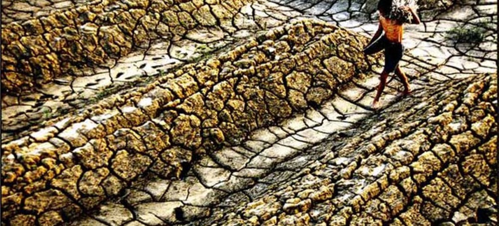 土地退化威脅 32 億人生計。（示意圖源：互聯網）